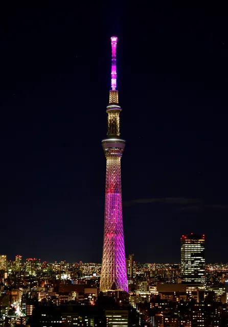 江戸紫を基調とした優雅なライティング「雅（みやび）」