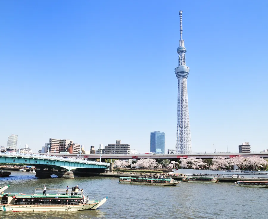青空の下、隅田川越しにそびえ立つ東京スカイツリー。手前には川を進む屋形船、川沿いには満開の桜並木が広がる春の風景。