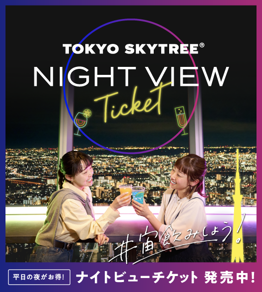 ナイトビューチケット
