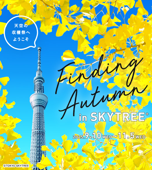 Finding Autumn in SKYTREE®