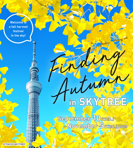 Finding Autumn in SKYTREE