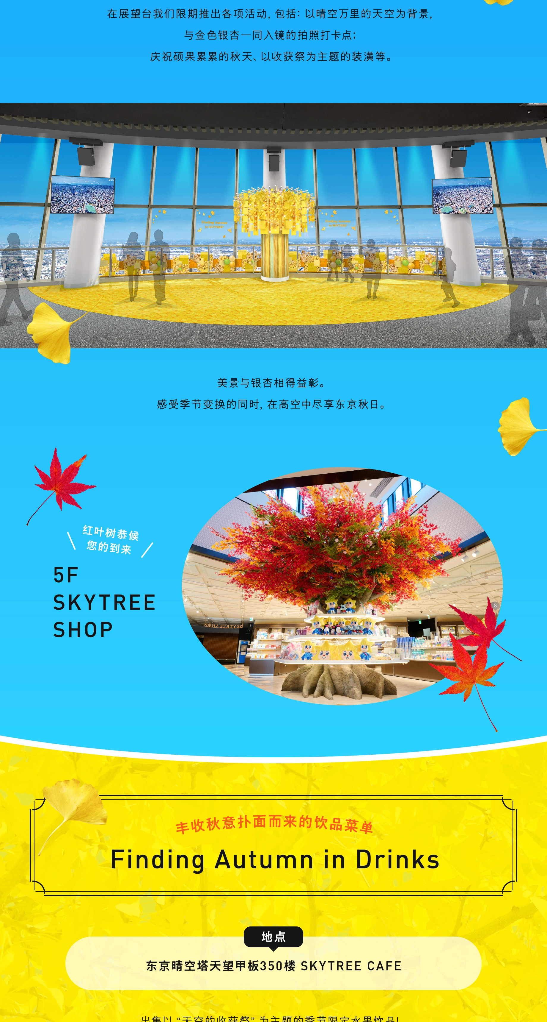 SUNNY SUMMER SKYTREE