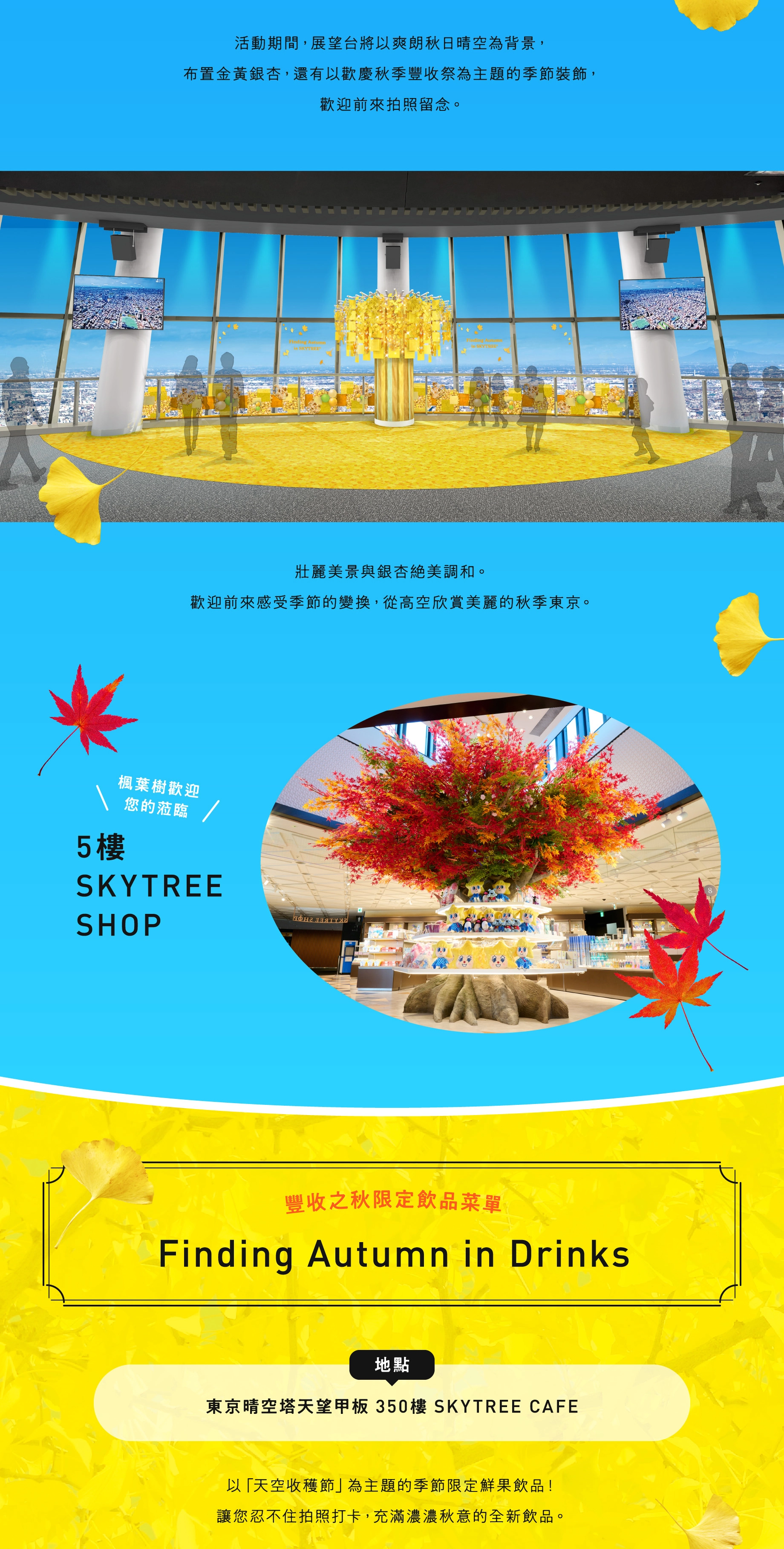 SUNNY SUMMER SKYTREE