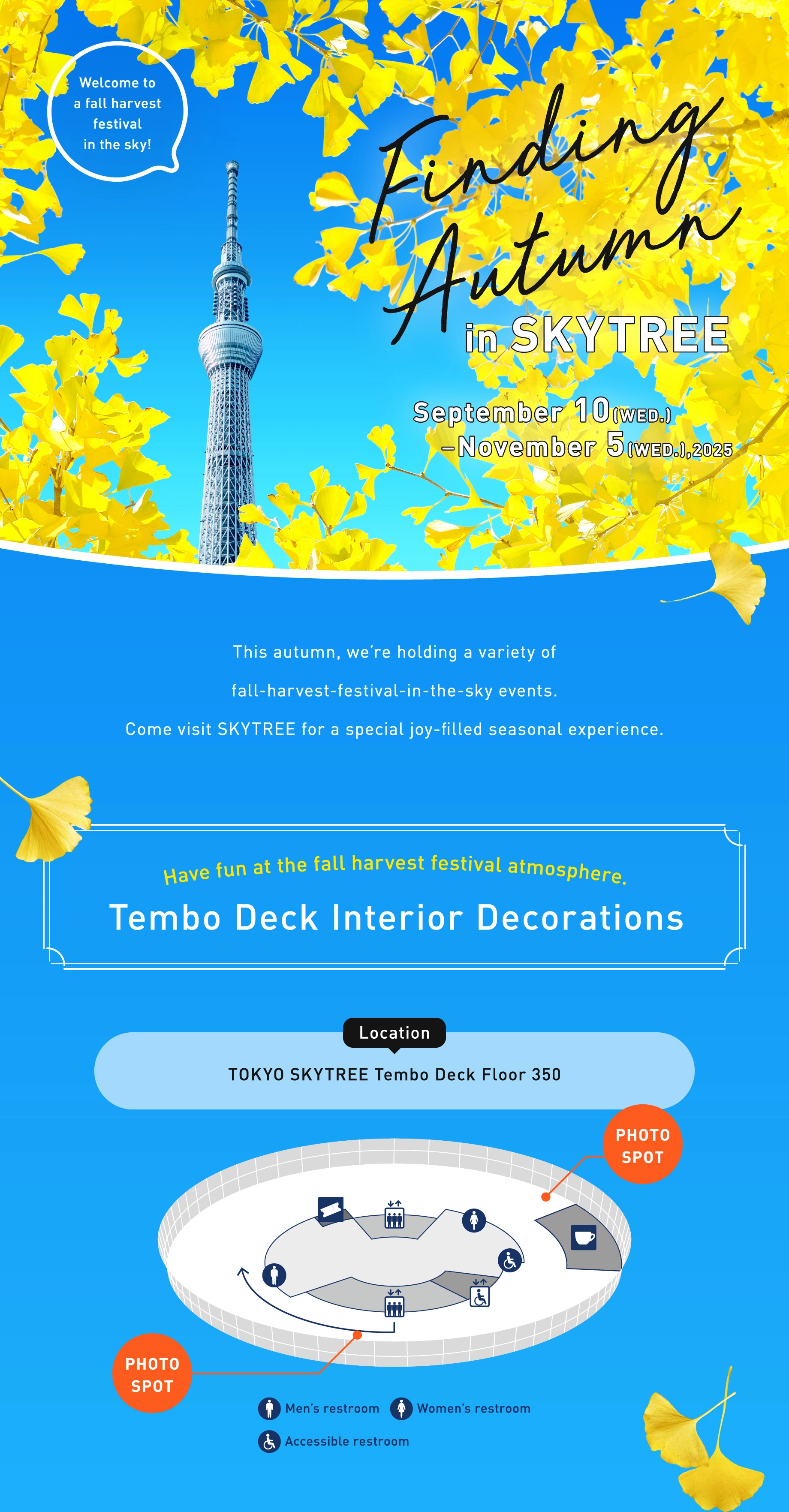 SUNNY SUMMER SKYTREE