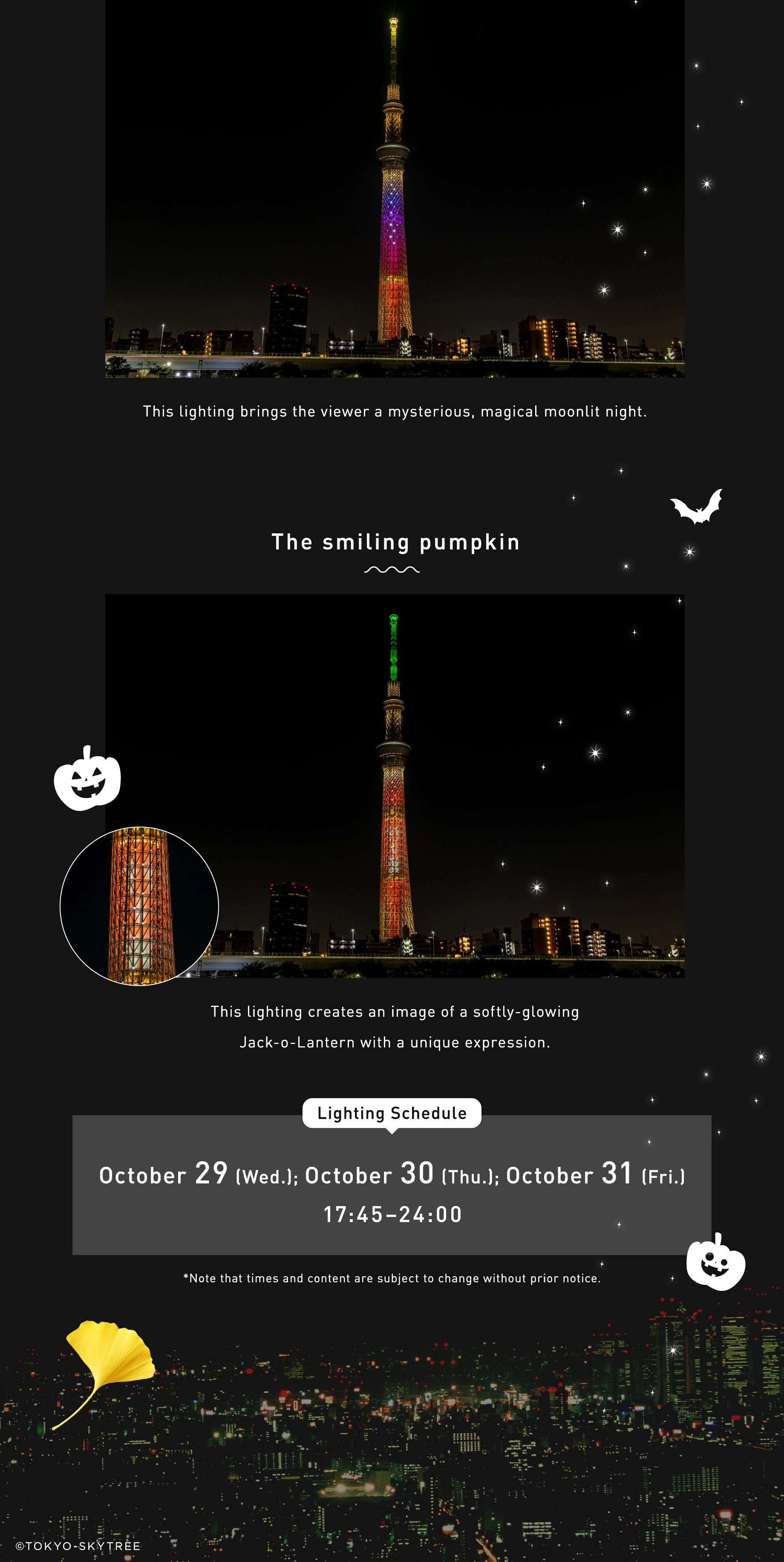 SUNNY SUMMER SKYTREE