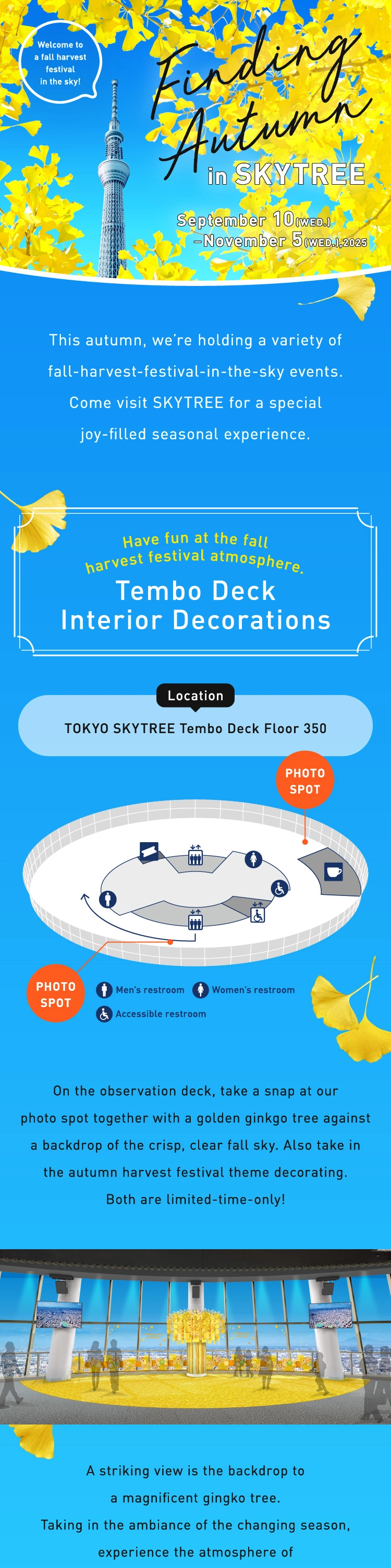 SUNNY SUMMER SKYTREE