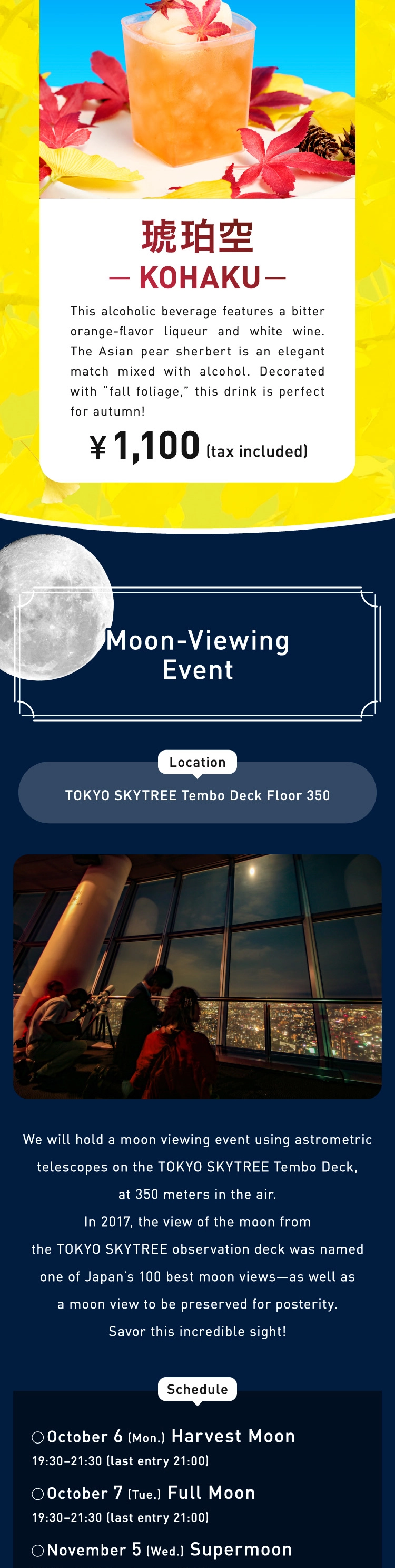 SUNNY SUMMER SKYTREE