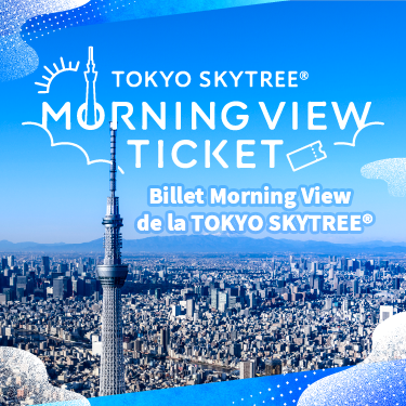 Morning View Ticket