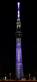 「エヴァンゲリオン8号機」
