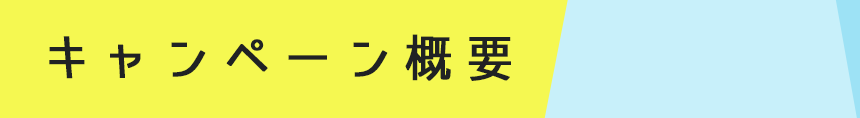 キャンペーン概要
