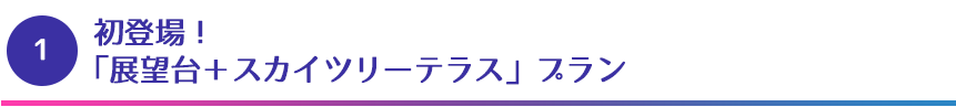 「展望台＋スカイツリーテラス」プラン