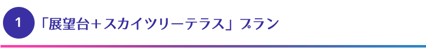 「展望台＋スカイツリーテラス」プラン