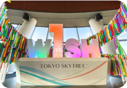 W1SH RIBBON