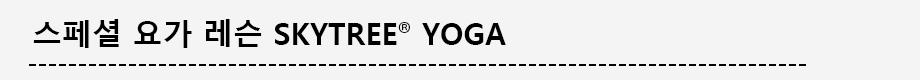 特別ヨガレッスン　SKYTREE® YOGA」