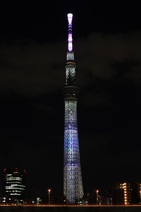 本日のライティング