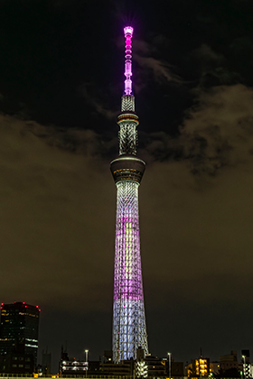 本日のライティング