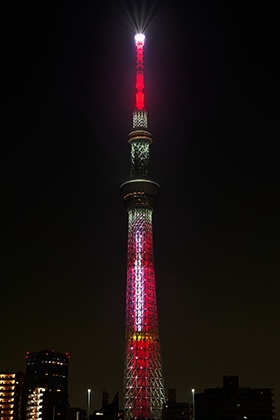 本日のライティング