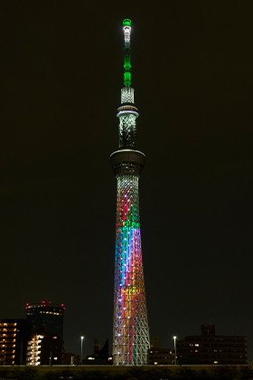 本日のライティング