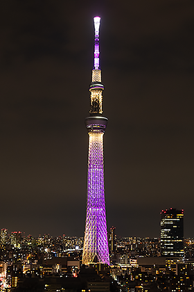 ライティング 東京スカイツリーを楽しむ 東京スカイツリー Tokyo Skytree ライティング 東京スカイツリーを楽しむ 東京スカイツリー Tokyo Skytree