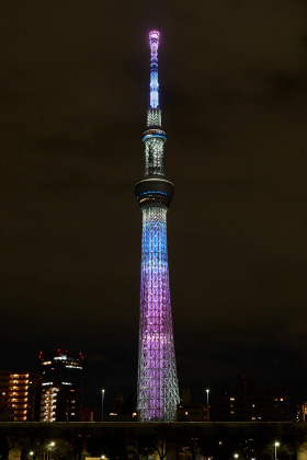 本日のライティング