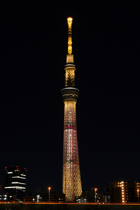 本日のライティング