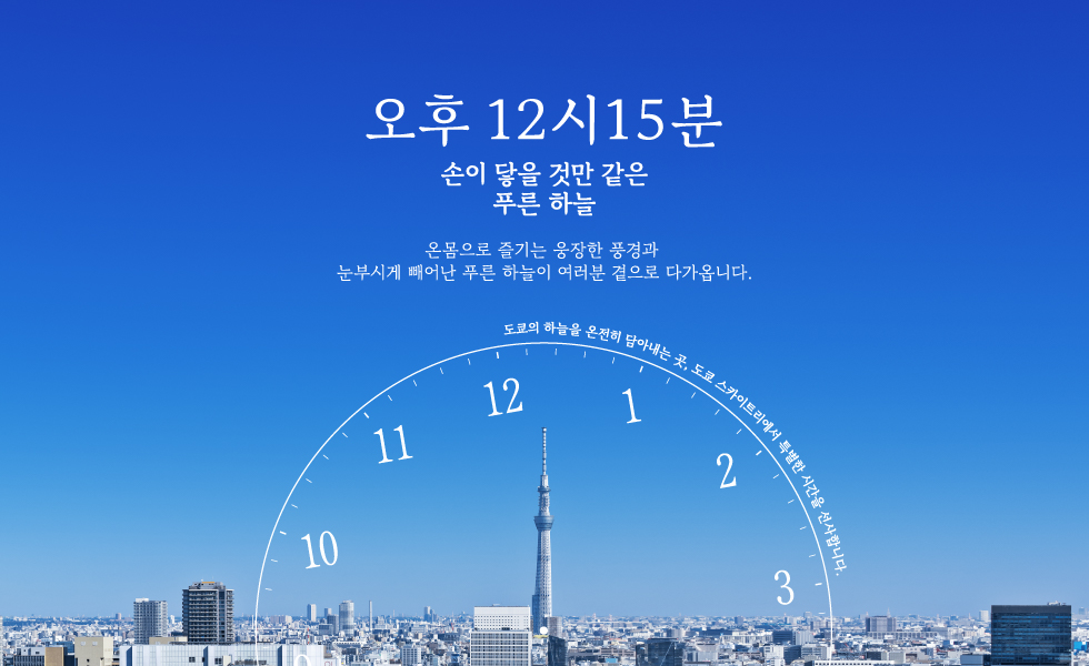 오후 12시15분 손이 닿을 것만 같은 푸른 하늘