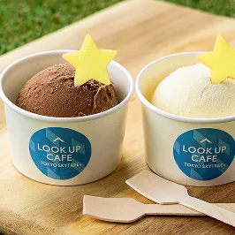 チョコレートとバニラのカップアイスクリーム2種
