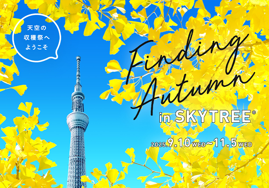 Finding Autumn in SKYTREE