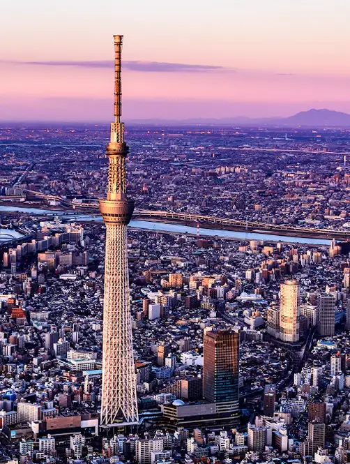 夕暮れの東京の街並みと東京スカイツリーの景色