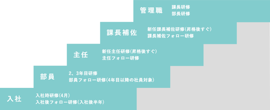 管理職 課長研修 部長研修 課長補佐 新任課長補佐研修(昇格後すぐ) 課長補佐フォロー研修 主任 新任主任研修(昇格後すぐ) 主任フォロー研修 部員 2、3年目研修 部員フォロー研修(4年目以降の社員対象) 入社 入社時研修(4月) 入社後フォロー研修(入社後半年)