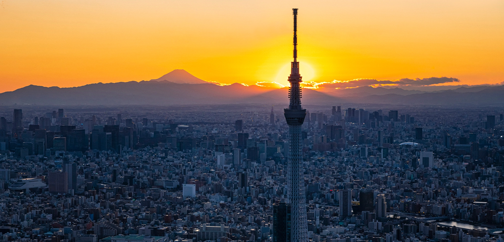 メインビジュアル4