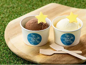 星形モナカが添えられたバニラとチョコのアイスクリーム