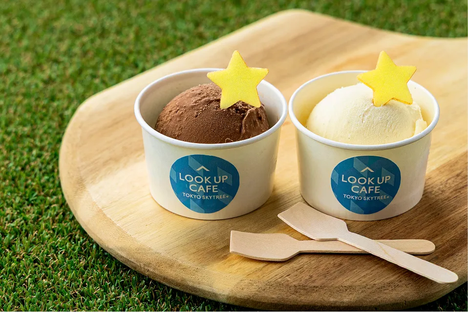 星形モナカが添えられたバニラとチョコのアイスクリーム