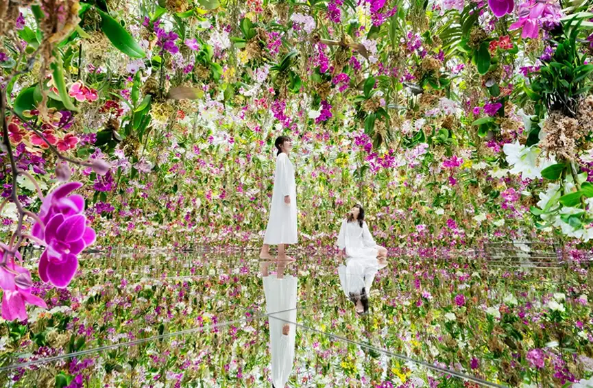 鏡張りの床に無数のランの花が吊り下げられた幻想的なアート空間。白い服を着た二人の女性が、花々に囲まれて佇んでいる様子。