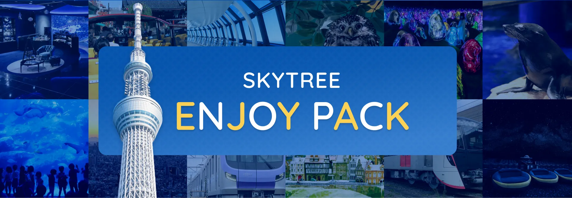 夜空と水族館を背景にした東京スカイツリー。「SKYTREE ENJOY PACK」のタイトルが入った縦型のバナー画像。