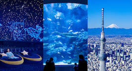 特別エンジョイパック