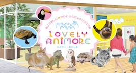 ラブリー・アニモアプラン