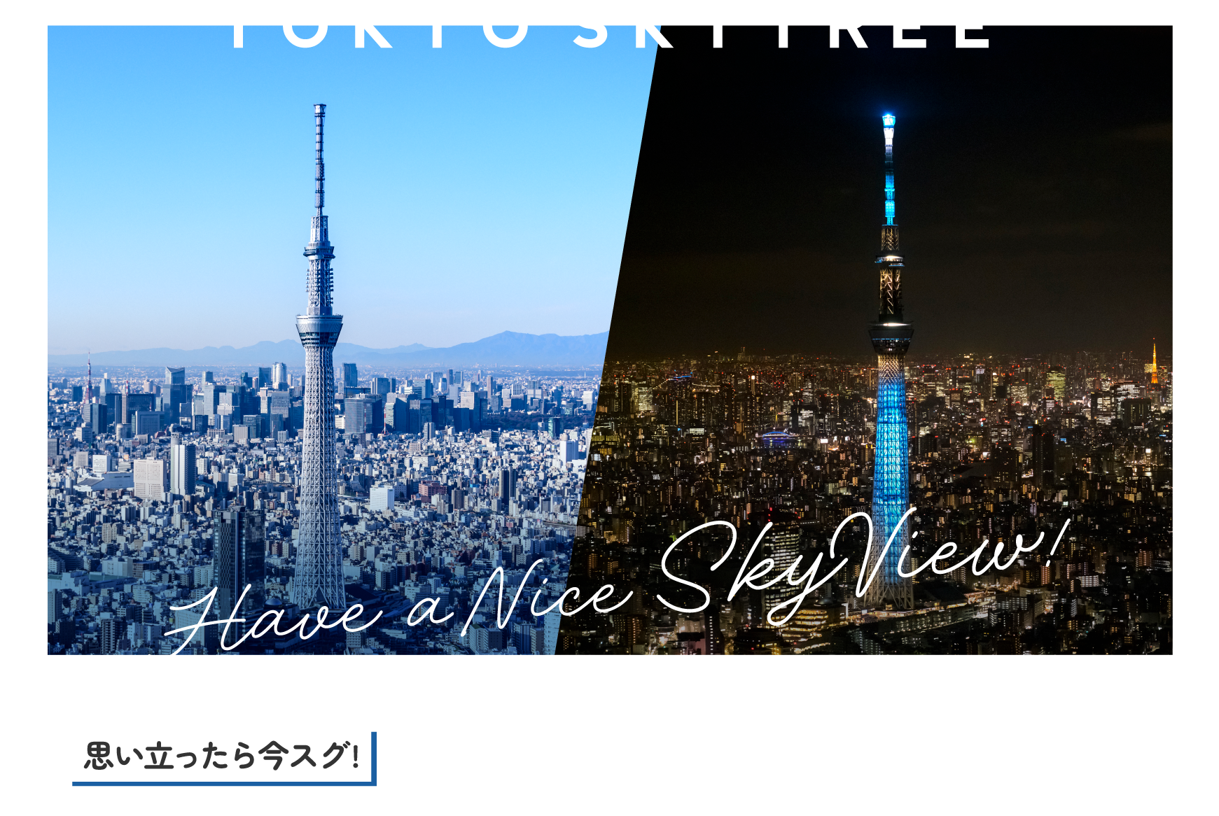 当日WEB券予約